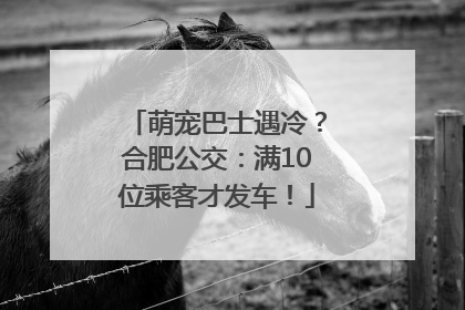 萌宠巴士遇冷？合肥公交：满10位乘客才发车！