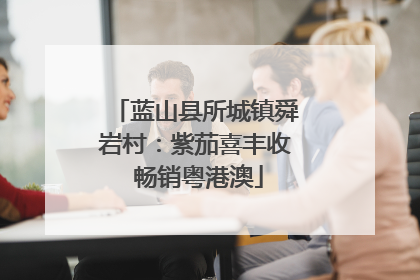 蓝山县所城镇舜岩村：紫茄喜丰收 畅销粤港澳
