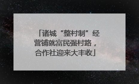 诸城“整村制”经营铺就富民强村路，合作社迎来大丰收