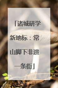 诸城研学新地标：常山脚下非遗一条街