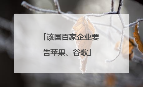 该国百家企业要告苹果、谷歌