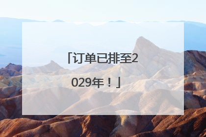订单已排至2029年！