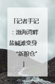 记者手记：渤海湾畔盐碱滩变身“新粮仓”