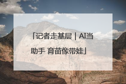 记者走基层｜AI当助手 育苗像带娃