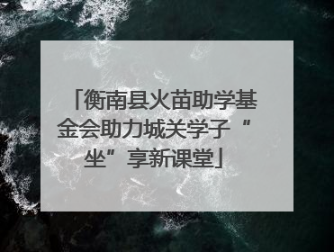 衡南县火苗助学基金会助力城关学子“坐”享新课堂