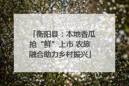衡阳县：本地香瓜抢“鲜”上市 农旅融合助力乡村振兴