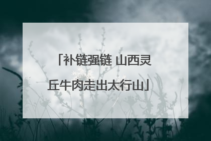 补链强链 山西灵丘牛肉走出太行山