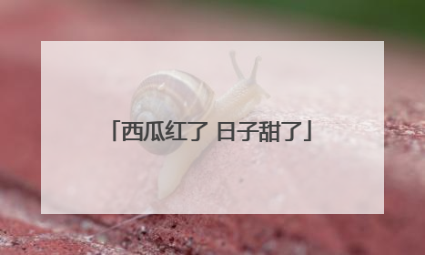 西瓜红了 日子甜了