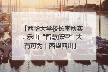 西华大学校长李秋实：乐山“智慧低空”大有可为｜西望四川