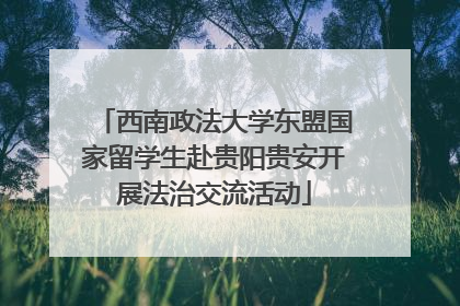 西南政法大学东盟国家留学生赴贵阳贵安开展法治交流活动