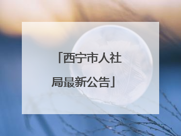 西宁市人社局最新公告