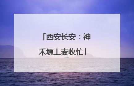 西安长安：神禾塬上麦收忙