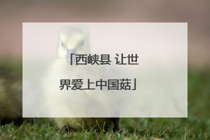 西峡县 让世界爱上中国菇