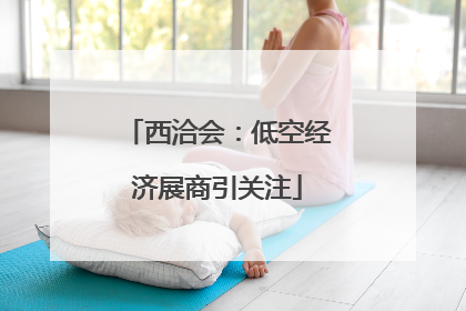 西洽会：低空经济展商引关注