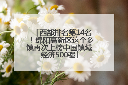 西部排名第14名！绵阳高新区这个乡镇再次上榜中国镇域经济500强