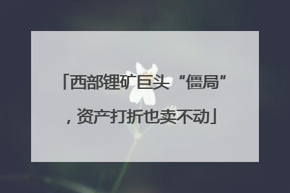 西部锂矿巨头“僵局”，资产打折也卖不动