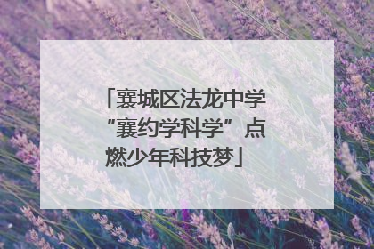 襄城区法龙中学“襄约学科学”点燃少年科技梦
