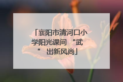 襄阳市清河口小学阳光课间 “武” 出新风尚