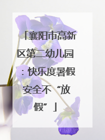 襄阳市高新区第二幼儿园：快乐度暑假 安全不“放假”