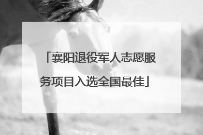 襄阳退役军人志愿服务项目入选全国最佳