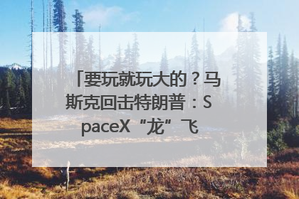 要玩就玩大的？马斯克回击特朗普：SpaceX“龙”飞船将立即退役！