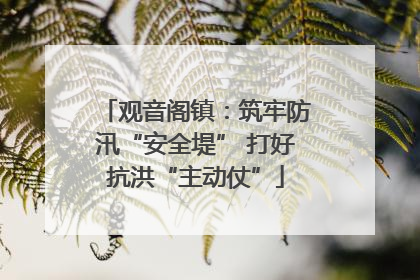 观音阁镇：筑牢防汛“安全堤” 打好抗洪“主动仗”