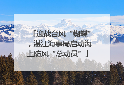 迎战台风“蝴蝶”，湛江海事局启动海上防风“总动员”
