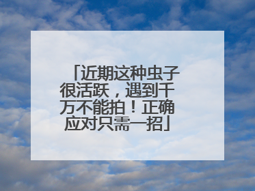 近期这种虫子很活跃，遇到千万不能拍！正确应对只需一招