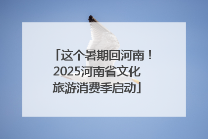 这个暑期回河南！2025河南省文化旅游消费季启动