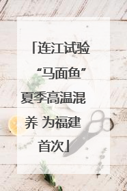 连江试验“马面鱼”夏季高温混养 为福建首次