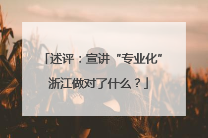 述评：宣讲“专业化” 浙江做对了什么？