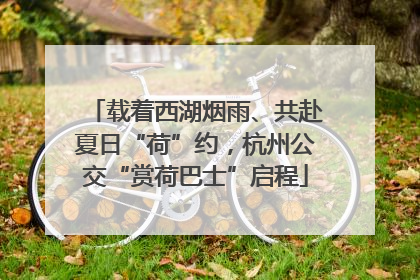 载着西湖烟雨、共赴夏日“荷”约，杭州公交“赏荷巴士”启程