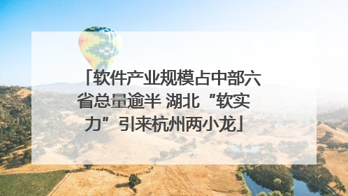 软件产业规模占中部六省总量逾半 湖北“软实力”引来杭州两小龙