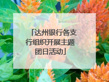 达州银行各支行组织开展主题团日活动