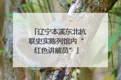 辽宁本溪东北抗联史实陈列馆内“红色讲解员”