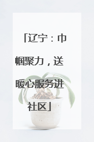 辽宁：巾帼聚力，送暖心服务进社区