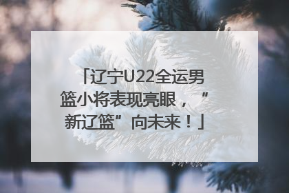 辽宁U22全运男篮小将表现亮眼，“新辽篮”向未来！