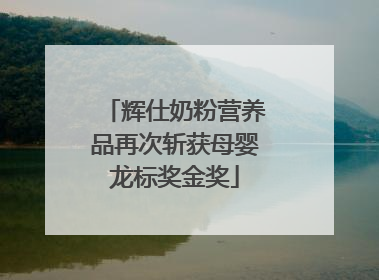 辉仕奶粉营养品再次斩获母婴龙标奖金奖