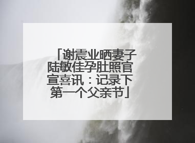 谢震业晒妻子陆敏佳孕肚照官宣喜讯：记录下第一个父亲节