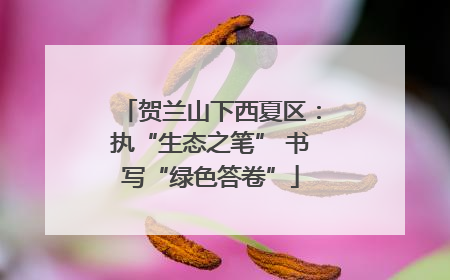 贺兰山下西夏区：执“生态之笔” 书写“绿色答卷”