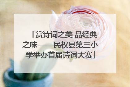 赏诗词之美 品经典之味——民权县第三小学举办首届诗词大赛
