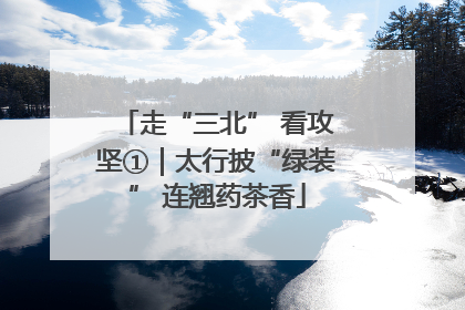 走“三北” 看攻坚①｜太行披“绿装” 连翘药茶香