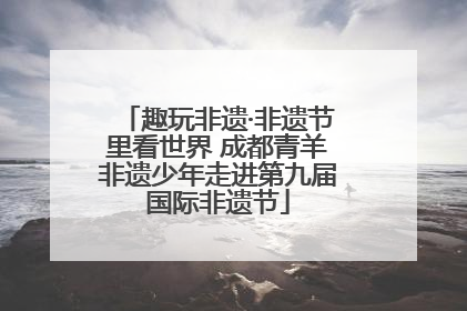 趣玩非遗·非遗节里看世界 成都青羊非遗少年走进第九届国际非遗节