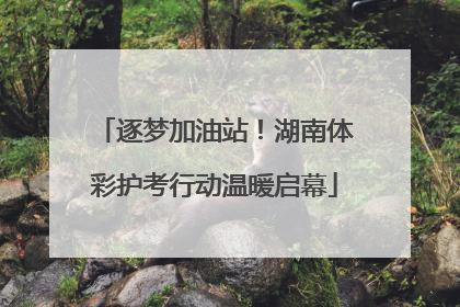 逐梦加油站！湖南体彩护考行动温暖启幕