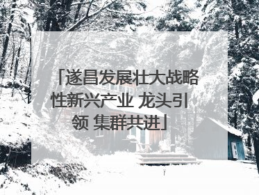 遂昌发展壮大战略性新兴产业 龙头引领 集群共进