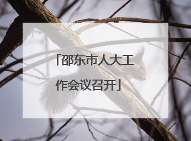 邵东市人大工作会议召开