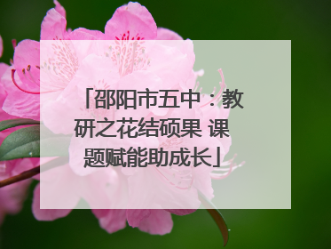 邵阳市五中：教研之花结硕果 课题赋能助成长