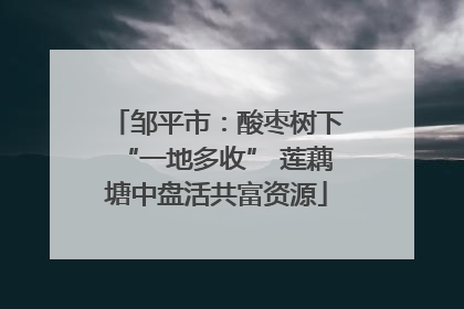 邹平市：酸枣树下“一地多收” 莲藕塘中盘活共富资源