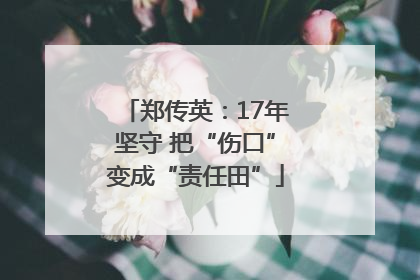 郑传英：17年坚守 把“伤口”变成“责任田”