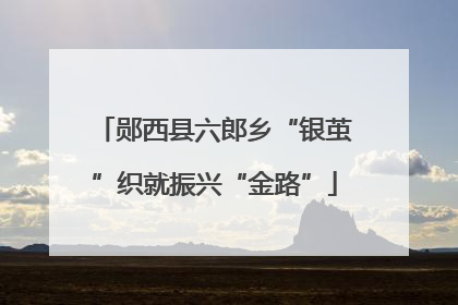 郧西县六郎乡“银茧”织就振兴“金路”